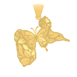 Guadeloupe Butterfly