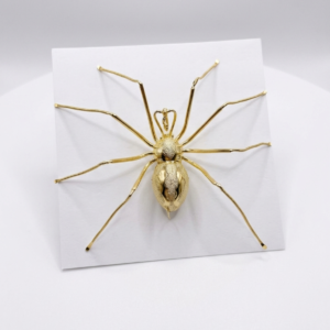 Broche Araignée